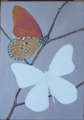 papillons5.jpg